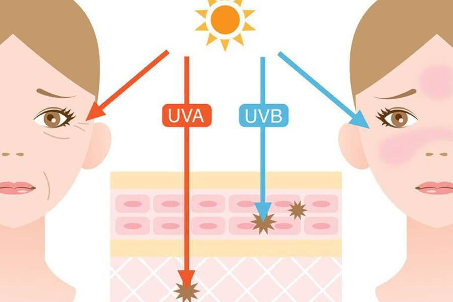 Mức độ ảnh hưởng của tia UVA và UVB lên da
