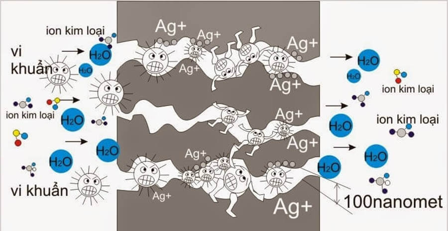 Phân tử Nano Bạc phá vỡ quá trình chuyển hóa sinh trưởng của tế bào gây hại