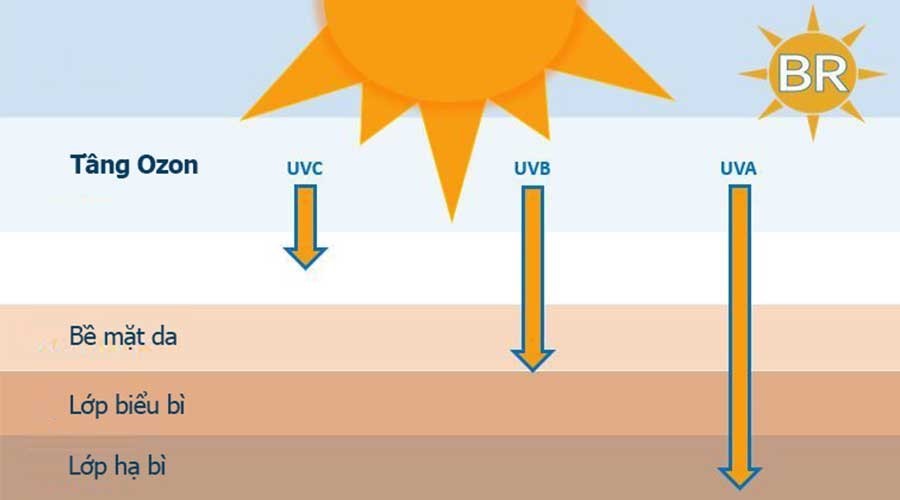 Tia UV được chia làm 3 loại chính là: UV-A, UV-B và UV-C