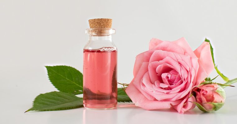 Dịch chiết tế bào gốc hoa hồng – Bí quyết giúp làn da sáng khỏe