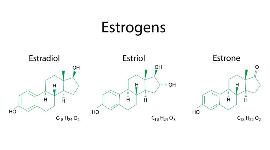 Estrogen là một nhóm nhiều loại hormone (Estrone, Estradiol, Estriol) thường có chủ yếu ở nữ giới quyết định các đặc điểm riêng của phái nữ như chu kỳ kinh nguyệt, mô ở ngực,…