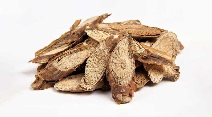 Cao dây đau xương cần được phơi khô và bảo quản ở nơi khô ráo, nếu có dấu hiệu ẩm mốc không nên tiếp tục sử dụng