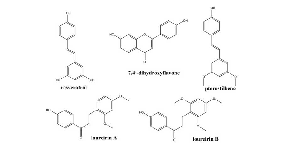 Flavonoid chứa nhiều hoạt chất mang tác dụng dược lý cao