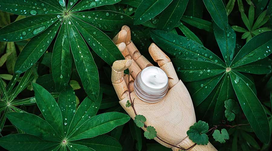 Organic Cosmetic lành tính, thân thiện cho cả làn da, sức khỏe và môi trường