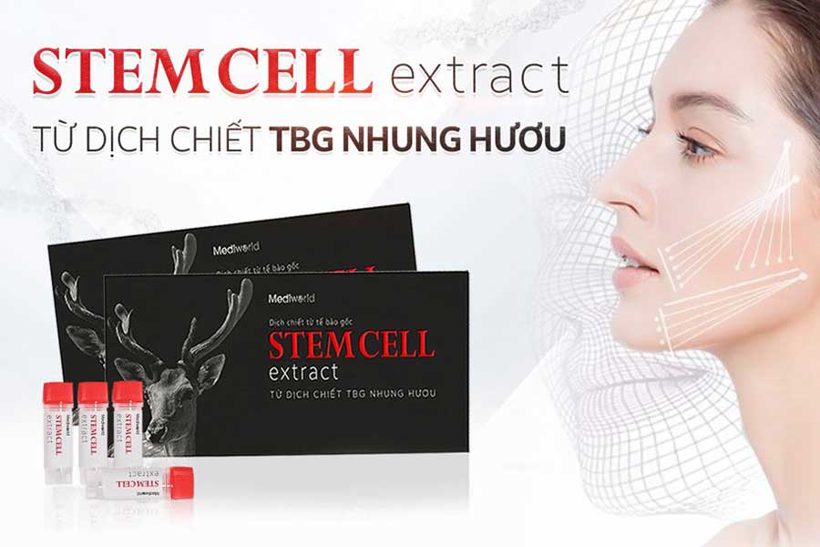 Stemcell Extract từ Dịch chiết TBG Nhung hươu giúp nuôi dưỡng, phục hồi và trẻ hóa da hiệu quả