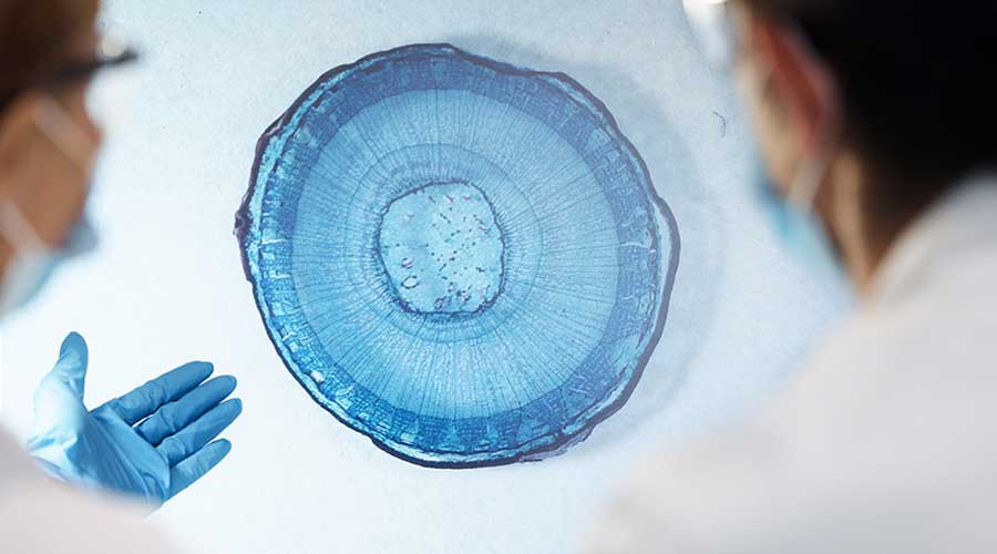Mỹ phẩm có chứa thành phần từ dịch chiết tế bào gốc mang đến nhiều ưu điểm với độ hiệu quả cao