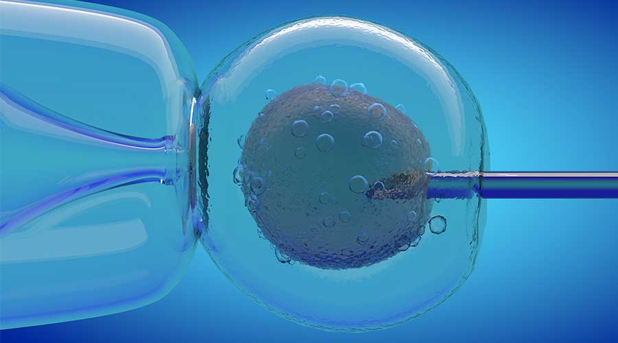 Tế bào gốc (Stem Cell) được xem là nền tảng của Y học tái tạo