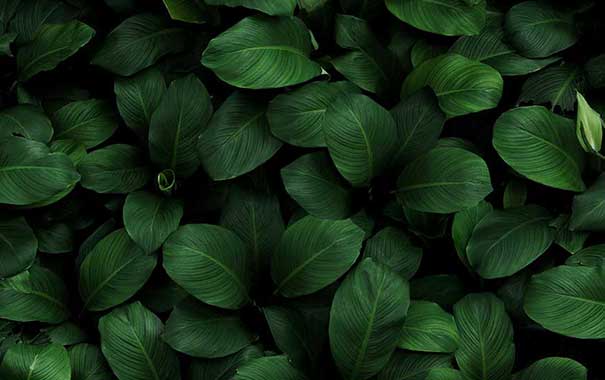 Image Banner - Liên Hệ