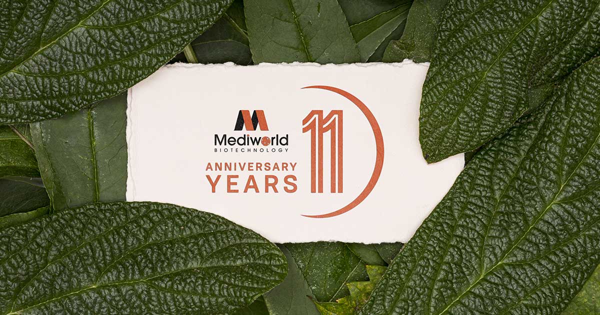 Mừng Mediworld tuổi 11 - Hành trình kiến tạo giá trị!