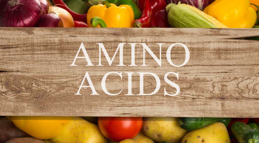 Amino acid không thiết yếu cơ thể có thể tự tổng hợp, còn nhóm thiết yếu được bổ sung thông qua ăn uống, sử dụng mỹ phẩm hoặc thực phẩm chức năng