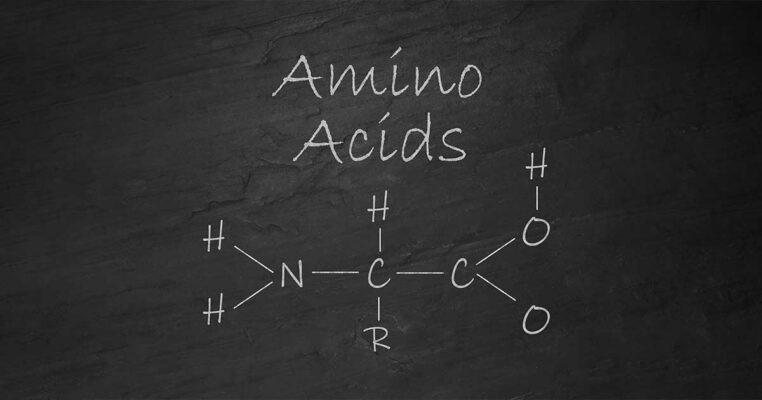 Amino Acid và công dụng chăm sóc sắc đẹp