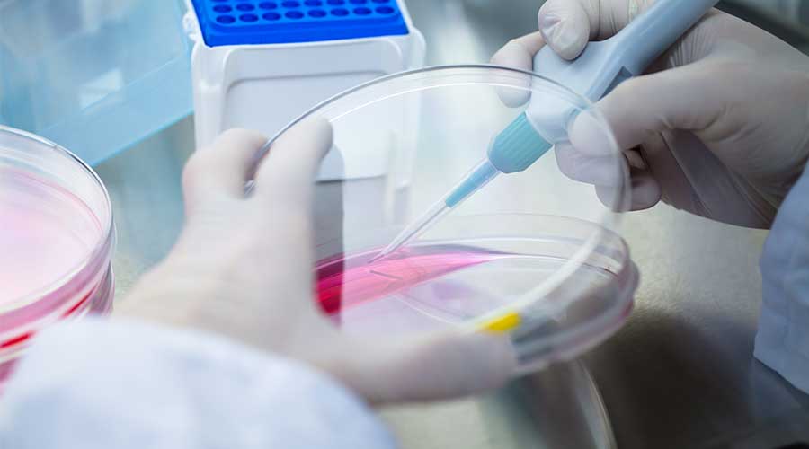 Tế bào gốc cảm ứng ra đời đáp ứng được các vấn đề về pháp lý và đạo đức trong nghiên cứu ứng dụng Tế bào gốc