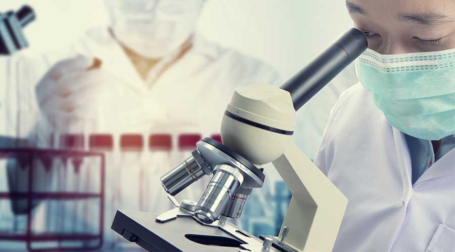 Trên thế giới nói chung và tại Việt Nam nói riêng, Y học tái tạo đã và đang là một trong những mũi nhọn trọng tâm phát triển của Y khoa