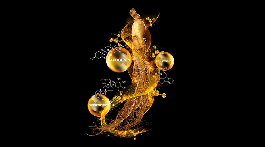 Nhân sâm có chứa nhiều hoạt chất mang công dụng tốt cho làn da