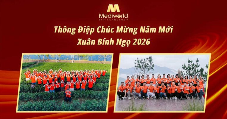 Thông điệp chúc mừng năm mới - Xuân Bính Ngọ 2026