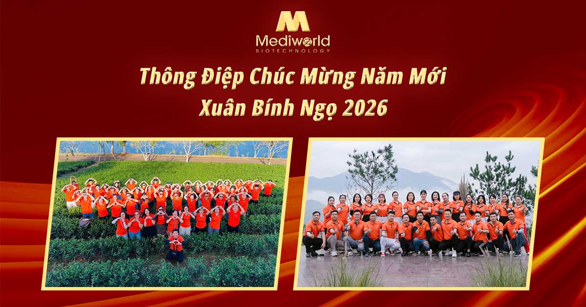Thông điệp chúc mừng năm mới - Xuân Bính Ngọ 2026