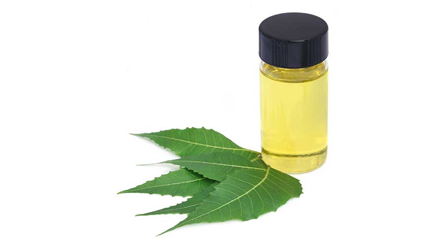 Dịch chiết lá neem (Neem Leaf Extract) là nguyên liệu được thu nhận từ lá của cây neem, chứa nhiều hoạt chất sinh học có hoạt tính cao